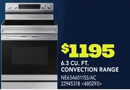 RONA SAMSUNG 6.3 CU. FT. CONVECTION RANGE offer