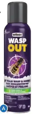 RONA Wilson Wasp & Hornet Insecticide Foam, 450-g offer