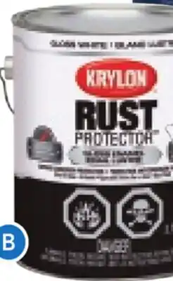 RONA ALL sizes of KRYLON rust paint offer