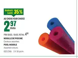 BMR NOUILLE DE PISCINE offer