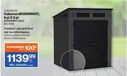 Patrick Morin MODERNIST Shed, 6 ft. X 5 ft offer