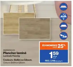 Patrick Morin Laminate Flooring offer