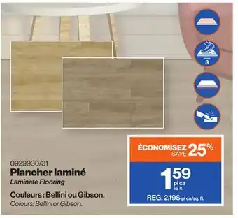 Patrick Morin Laminate Flooring offer