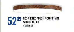 Canac LED Pietro Flush Mount 14 in offer
