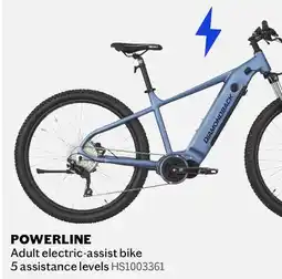 Sports Experts DIAMONDBACK - Powerline - Adult electric-assist bike, 5 assistance levels offer
