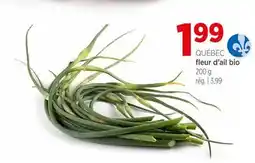 Avril Fleur d'ail bio offer
