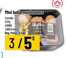 Mayrand Mini Bella Mushroom 227 g Canada offer
