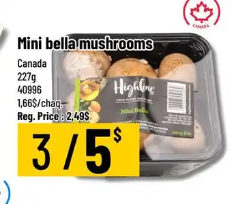 Mayrand Mini Bella Mushroom 227 g Canada offer