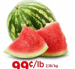 Avril Melon d'eau bio offer