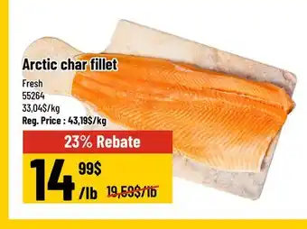 Mayrand Arctic char fillet Fresh offer