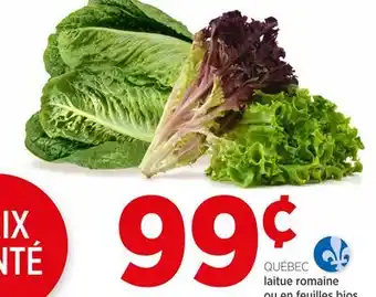 Avril Laitue feuilles romaine ou en bios offer