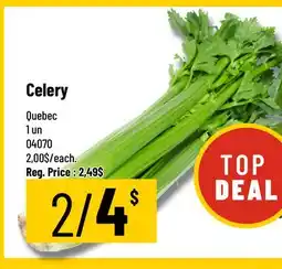 Mayrand Celery Quebec offer