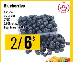 Mayrand Blueberry 340g pint Canada offer