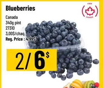 Mayrand Blueberry 340g pint Canada offer