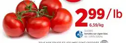 Avril Tomates sur vigne bios offer