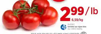 Avril Tomates sur vigne bios offer