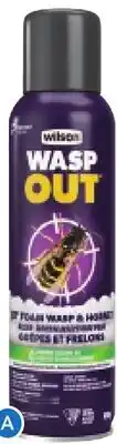 RONA WILSON WASP & HORNET INSECTICIDE Foam, 450-g offer