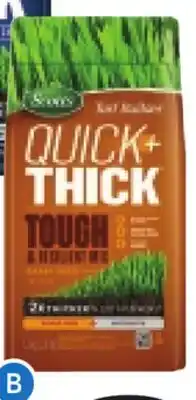 RONA QUICK+THICK GRASS SEEDS offer