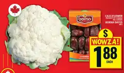 Food Basics BORNA DATES offer