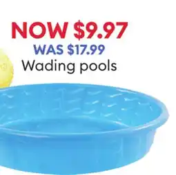 Petsmart Wading pools offer