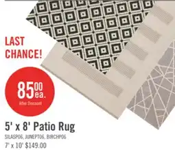 The Brick 5' x 8' Patio Rug offer