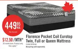 The Brick Springwall Florence Eurotop Luxury Firm Twin Mattress offer