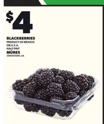 Independent City Market BLACKBERRIES, HALF PINT offer
