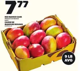 Independent City Market RED MANGO CASE, EACH, 9 LB AVG offer