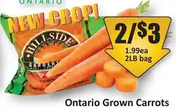 Starsky Ontario Grown Carrots offer
