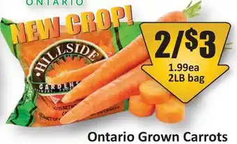 Starsky Ontario Grown Carrots offer