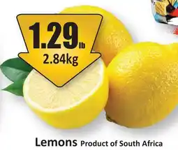Starsky Lemons offer