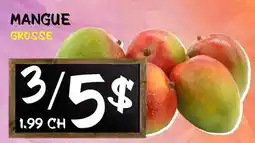 Marche Salaberry Mangue offer