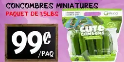 Marche Salaberry Concombres Miniatures offer