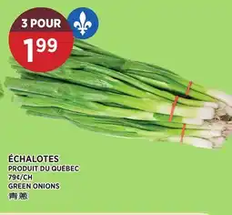 Kim Phat GREEN ONIONS offer
