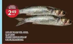 Kim Phat FRESH WHOLE MULLET offer