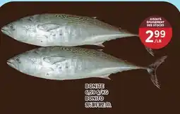 Kim Phat BONITO offer