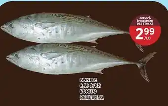 Kim Phat BONITO offer