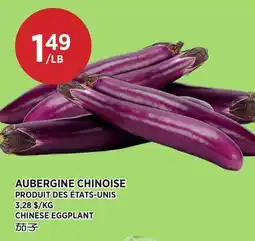 Kim Phat CHINESE EGGPLANT offer