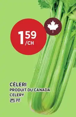 Kim Phat CELERY offer