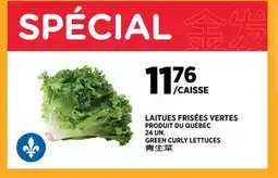 Kim Phat GREEN CURLY LETTUCES offer