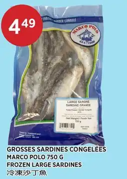 Kim Phat MARCO POLO FROZEN LARGE SARDINES offer