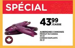Kim Phat CHINESE EGGPLANTS offer