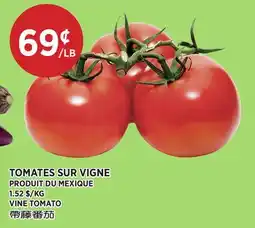 Kim Phat VINE TOMATO offer