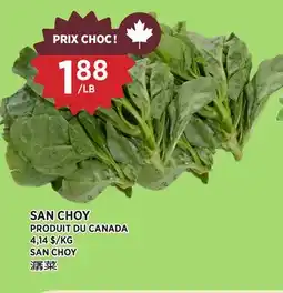 Kim Phat SAN CHOY offer