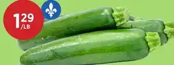 Kim Phat GREEN ZUCCHINI offer