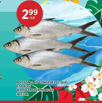 Kim Phat WHOLE FROZEN MILKFISH offer