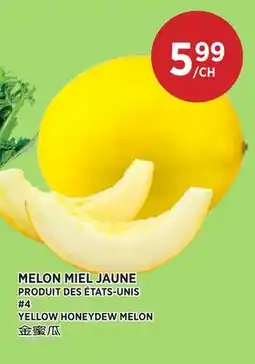 Kim Phat YELLOW HONEYDEW MELON offer