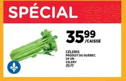 Kim Phat CELERY offer