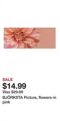 IKEA BJÖRKSTA Picture, flowers-in pink offer