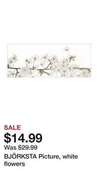 IKEA BJÖRKSTA Picture, white flowers offer